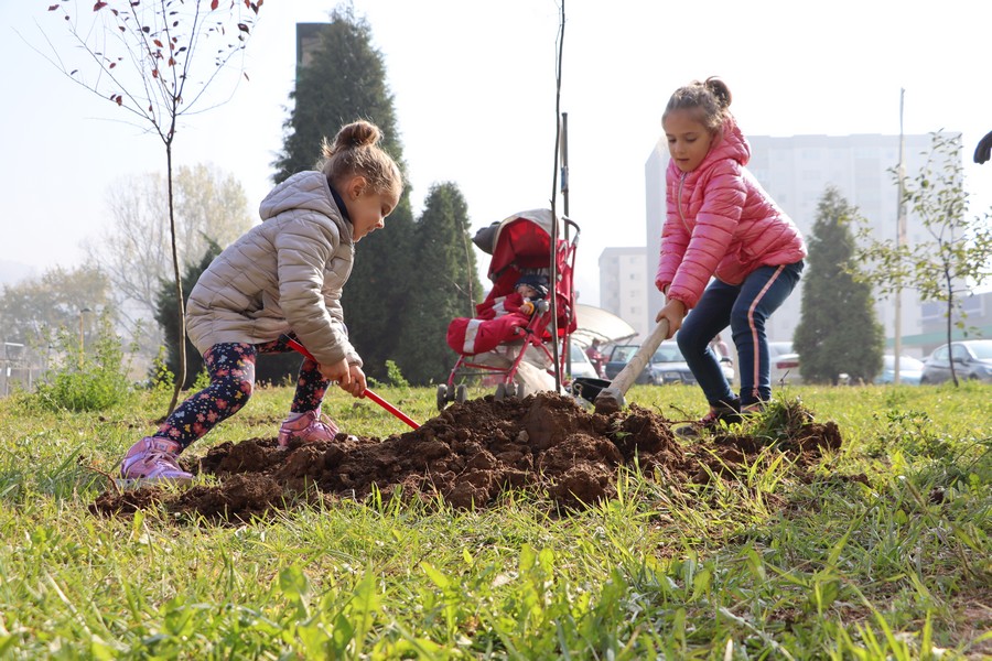 Foto Održana akcija sadnje stabala u Tuzli u okviru inicijative Drvo