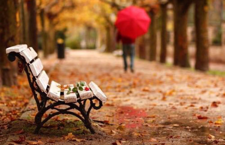 klupa-ljubav-par-jesenTWITEER.jpg