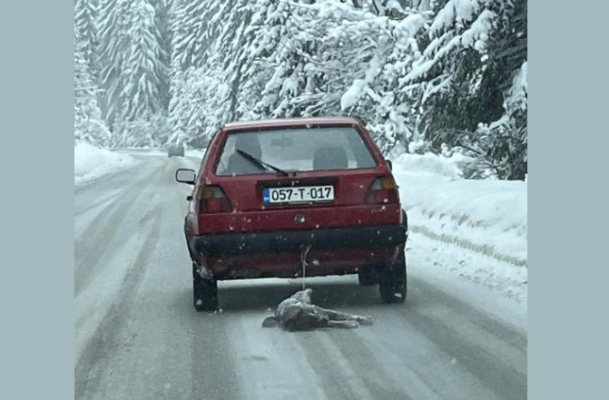 Užasan prizor s Romanije: Vezao psa za automobil i vukao po putu