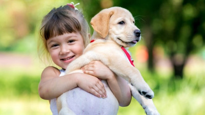 Zašto je sjajno da djeca odrastaju sa psima?