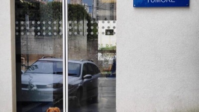 Ispred riječke bolnice pas čeka vlasnika: Ljubav koja se ne može objasniti riječima