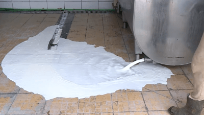 Dok se domaće mlijeko prosipa, vrijednost uvoza premašila 268 miliona KM