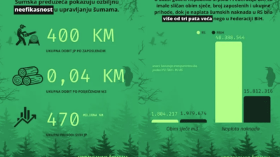 Ista šuma, tri puta manje para: Zašto FBiH gubi novac koji RS uredno naplaćuje