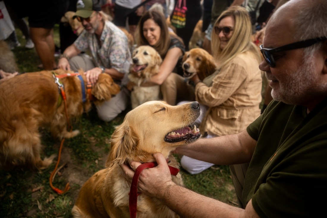 Foto: Zlatni retriveri i njihovi vlasnici u Buenos Airesu pokušali oboriti svjetski rekord