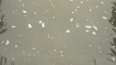 “Cvjetanje vode” uništava jezera Jablanica i Modrac