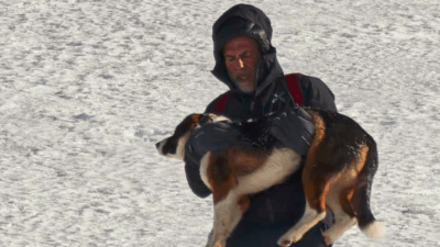 Najljepša novogodišnja priča: Sarajevski planinar spasio život psu zarobljenom na Treskavici