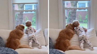 Video/Prizor koji topi srca: Pas i dječak zajedno promatraju kišu