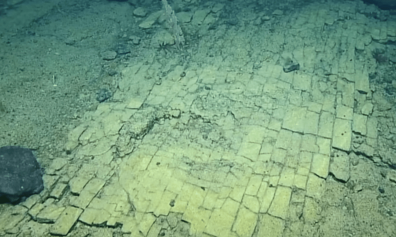 Video: “Put od žute cigle” 1.000 metara ispod površine okeana