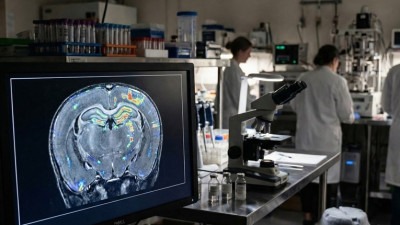 Znanstvenici zamrznuli mišji mozak na -195 °C pa ga ponovno “aktivirali”