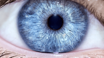 Studija otkrila nevjerovatan podatak: “Svim ljudima na svijetu s plavim očima zajednička je još jedna stvar”