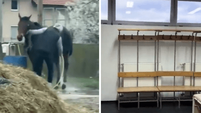 Video: Italijani objavili unutrašnjost Bilinog polja: “Ovo je neki drugi svijet”