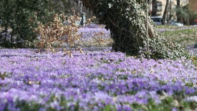 Meteorolozi objavili vremensku prognozu za vikend: Temperature do 23 stepena