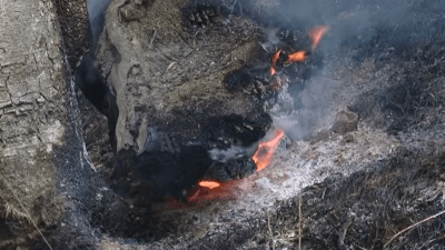 Video: Bliži se sezona požara, upozorenja i visoke kazne u Tuzlanskom kantonu