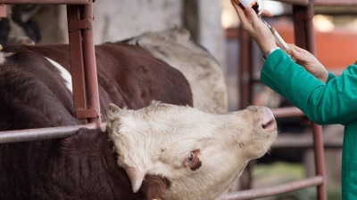 U Orašju otvorena prva tvrtka za proizvodnju veterinarskih lijekova u BiH