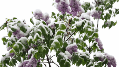 Vremenski rolercoaster u BiH: Meteorolozi najavili mraz za vikend, a već početkom sedmice temperature i do 26 stepeni