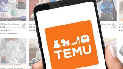 Nevjerovatni podaci: Građani BiH prošle godine naručili 2,1 milion pošiljki sa Temua, iz EU najavili carine