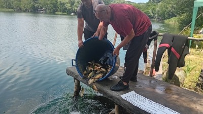 Foto: Poribljavanje jezera Kop Šićki Brod