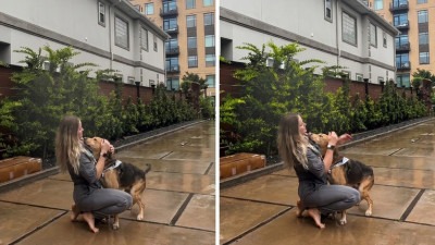 Video: Pas koji je život proveo u kavezu prvi put uživa na kiši