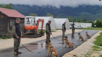 Norveška NPA donirala nove deminerske pse za MO BiH