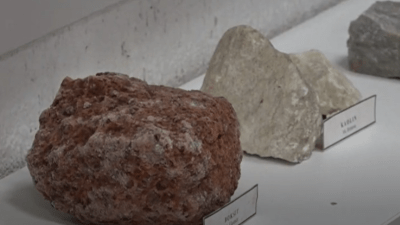 Video/Skriveno blago Tuzle: Hiljade primjeraka flore i faune u Biološkoj zbirci Muzeja istočne Bosne