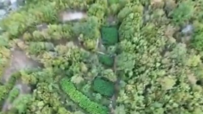 Video: FUP objavio snimke iz zraka velike akcije: Pogledajte gdje su bile skrivene plantaže kanabis
