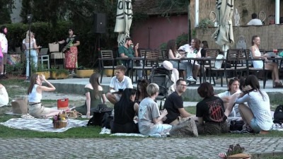 Video: Summer Picnic Bluesberry prvi put okupio Tuzlake u Centralnom gradskom parku