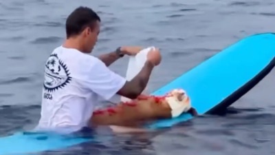 Video: Pas mu je godinama bio partner na plaži. Posljednji put zajedno su otišli na more