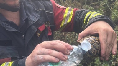 Fotografija s Pelješca koja najbolje opisuje kakvi su ljudi vatrogasci