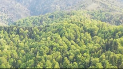 Direktor Šuma TK osuđen na godinu zatvora zbog zloupotrebe položaja