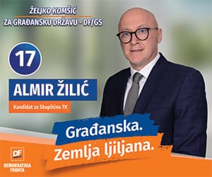DF - Almir Zilic