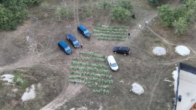 Foto: U akciji ‘Pantera’ zaplijenjeno oko 25 kilograma droge, uhapšeni su Samedin Fišić, Semir Dučić, Ivan Majić i Jelena Hribar Hadžić