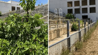 Video: Nekada je bio dom prvoligaša, danas ga guta priroda: Pogledajte kako izgleda čuveni stadion 