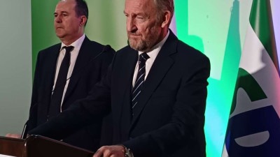 Izetbegović: Probosanske stranke su poželjan partner, SDP prihvatljiv na državnom nivou