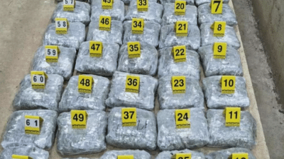 Državljanin BiH uhapšen na granici BiH i Crne Gore sa 65 kilograma marihuane