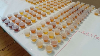U Brčkom održano deseto međunarodno organoleptičko ocjenjivanje meda