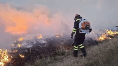 Starac poginuo u požaru koji je zahvatio travu i nisko rastinje